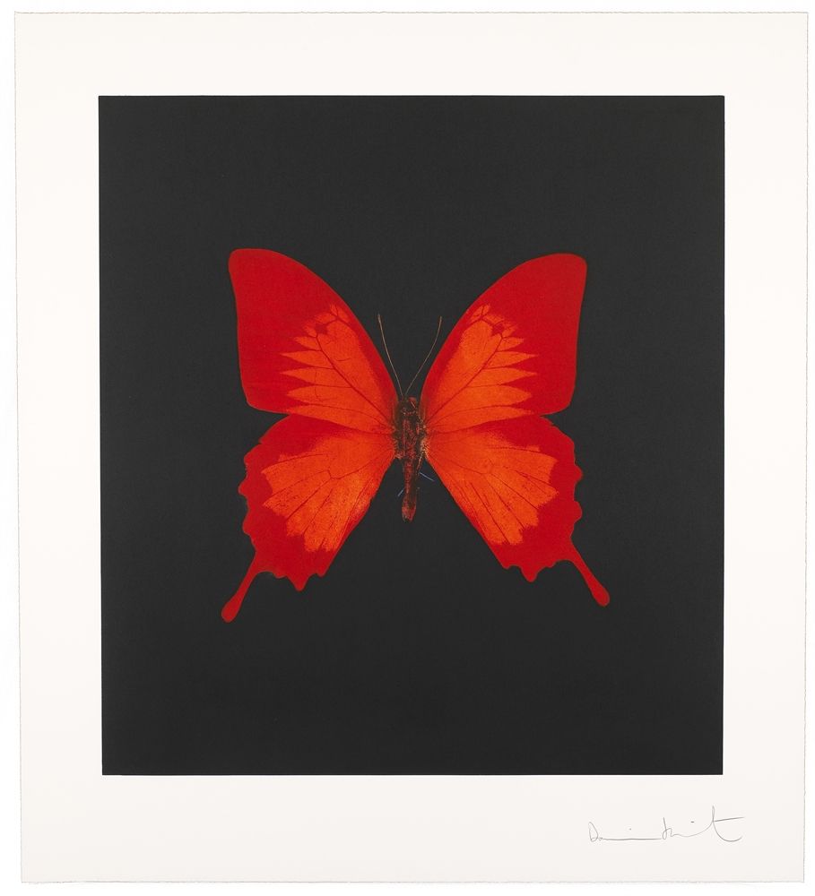 damien-hirst-the-souls-on-jacobs-ladder-take-their-flight-complete-set-of-6-works-prints-and-multiples-zoom-6_909_1000.jpg